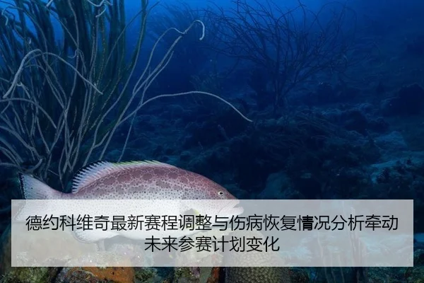 de-yue-ke-wei-qi-zui-xin-sai-cheng-tiao-zheng-yu-shang-bing-hui-fu-qing-kuang-fen-xi-qian-dong-wei-lai-can-sai-ji-hua-2-668.jpg