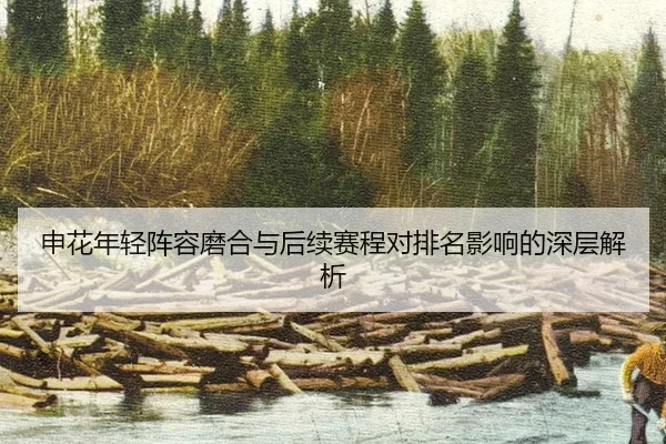 shen-hua-nian-qing-zhen-rong-mo-he-yu-hou-xu-sai-cheng-dui-pai-ming-ying-xiang-de-shen-ceng-jie-xi-2-765.jpg